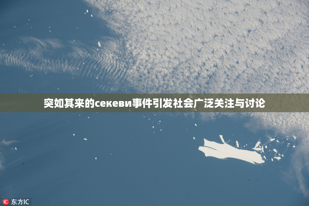 突如其来的ceкеви事件引发社会广泛关注与讨论