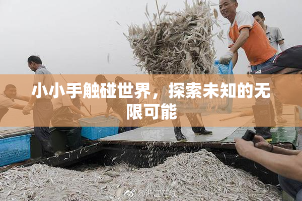小小手触碰世界，探索未知的无限可能
