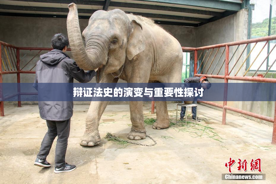 辩证法史的演变与重要性探讨