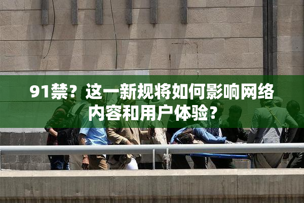 91禁？这一新规将如何影响网络内容和用户体验？