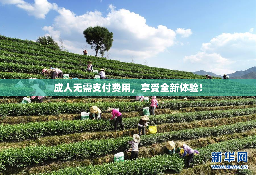 成人无需支付费用，享受全新体验！