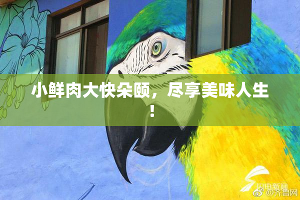 小鲜肉大快朵颐，尽享美味人生！