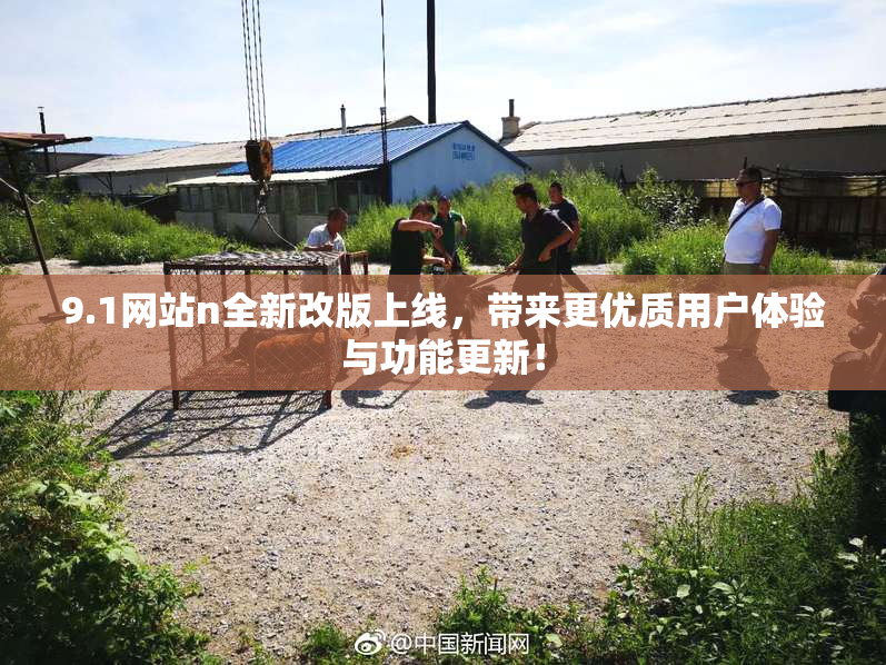 9.1网站n全新改版上线，带来更优质用户体验与功能更新！