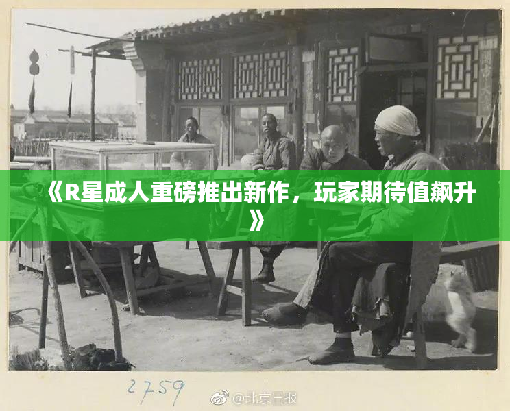 《R星成人重磅推出新作，玩家期待值飙升》