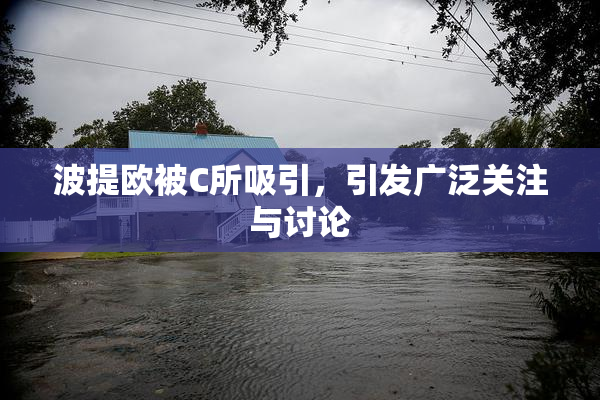 波提欧被C所吸引，引发广泛关注与讨论