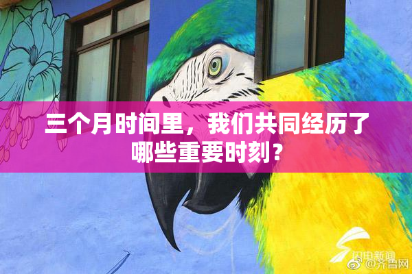 三个月时间里，我们共同经历了哪些重要时刻？