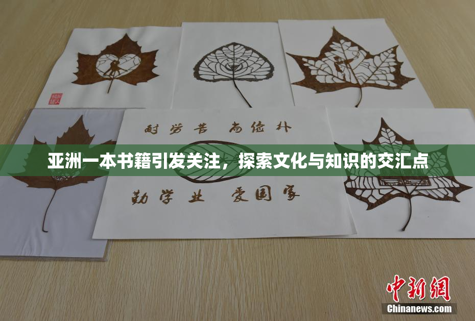 亚洲一本书籍引发关注，探索文化与知识的交汇点