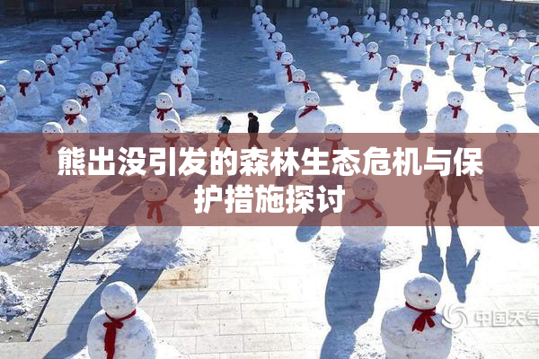 熊出没引发的森林生态危机与保护措施探讨