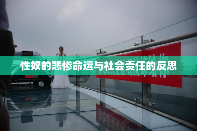 性奴的悲惨命运与社会责任的反思