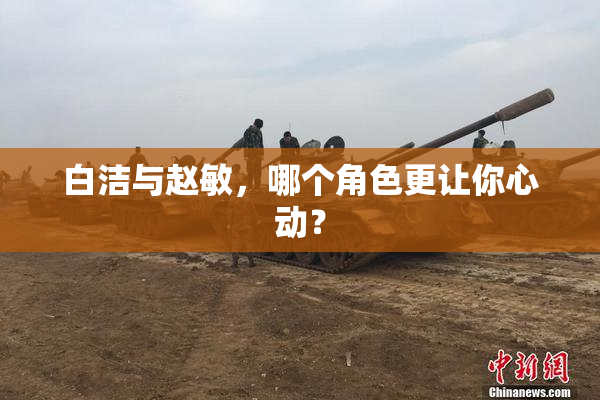 白洁与赵敏，哪个角色更让你心动？