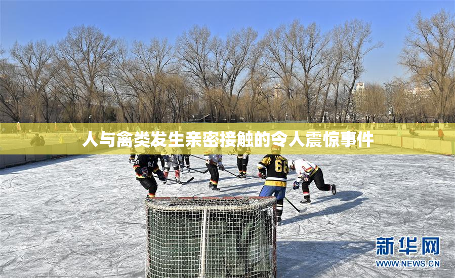 人与禽类发生亲密接触的令人震惊事件