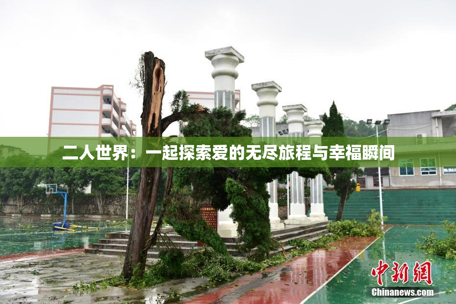 二人世界：一起探索爱的无尽旅程与幸福瞬间