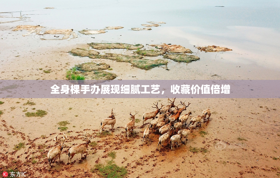 全身棵手办展现细腻工艺，收藏价值倍增