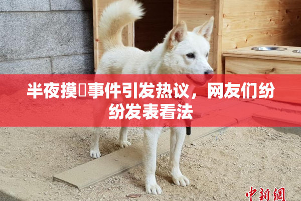半夜摸妺事件引发热议，网友们纷纷发表看法
