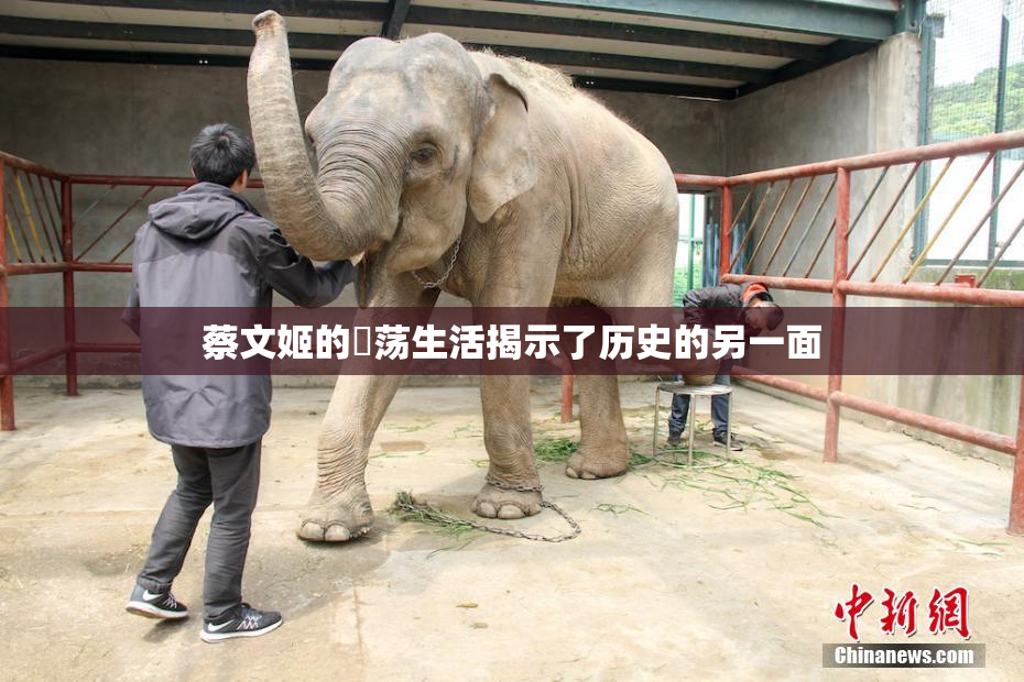 蔡文姬的婬荡生活揭示了历史的另一面