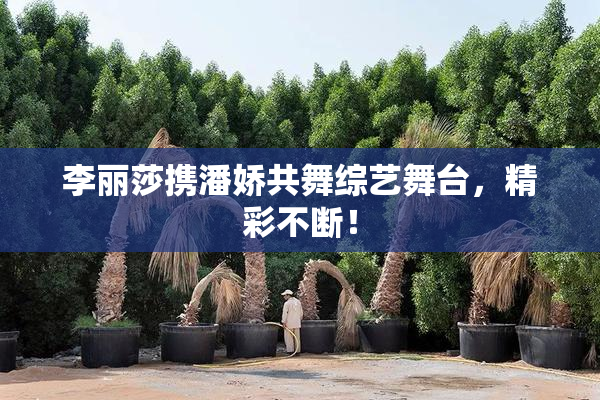 李丽莎携潘娇共舞综艺舞台，精彩不断！