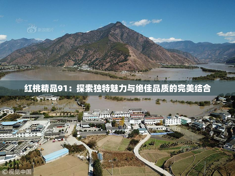 红桃精品91：探索独特魅力与绝佳品质的完美结合