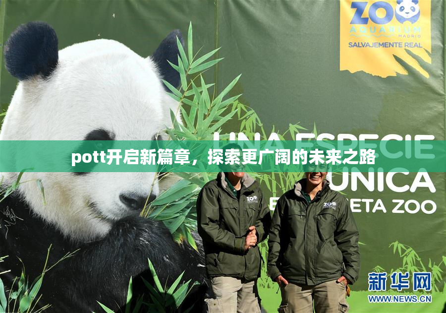 pott开启新篇章，探索更广阔的未来之路