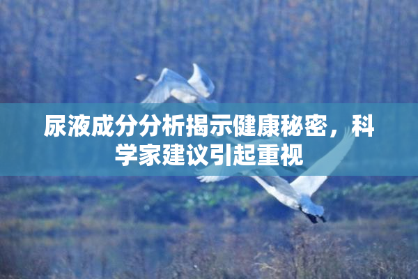 尿液成分分析揭示健康秘密，科学家建议引起重视