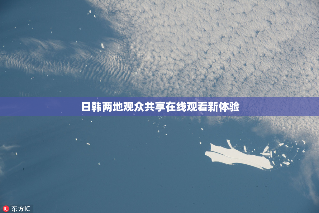 日韩两地观众共享在线观看新体验