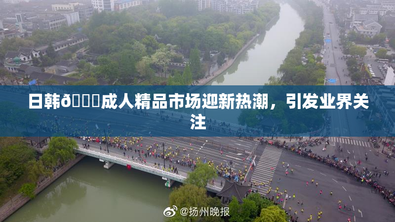 日韩🔞成人精品市场迎新热潮，引发业界关注