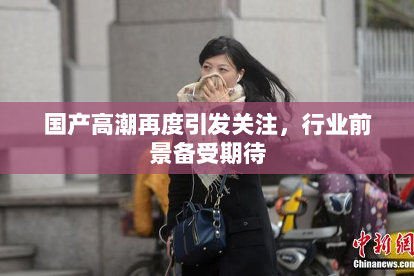 国产高潮再度引发关注，行业前景备受期待