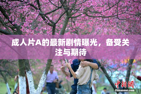 成人片A的最新剧情曝光，备受关注与期待