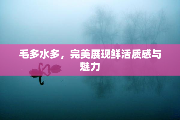 毛多水多，完美展现鲜活质感与魅力