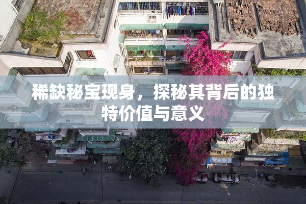 稀缺秘宝现身，探秘其背后的独特价值与意义