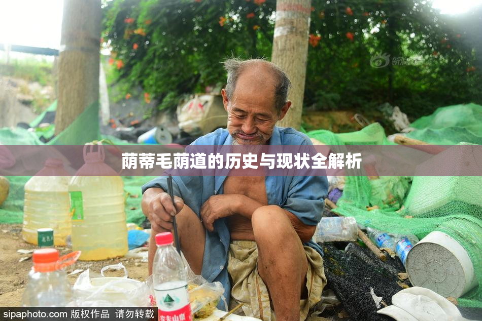 荫蒂毛荫道的历史与现状全解析