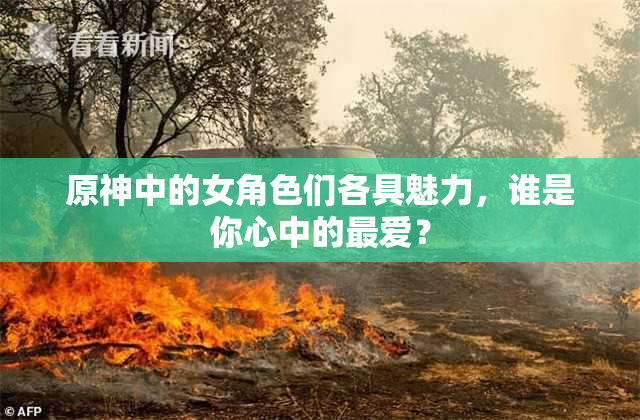 原神中的女角色们各具魅力，谁是你心中的最爱？