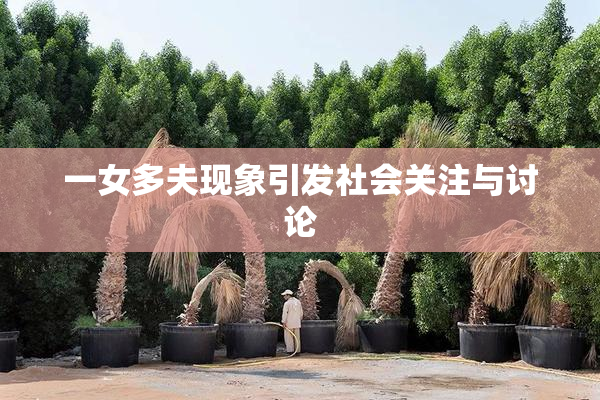 一女多夫现象引发社会关注与讨论