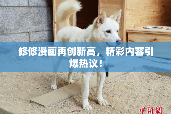 修修漫画再创新高，精彩内容引爆热议！