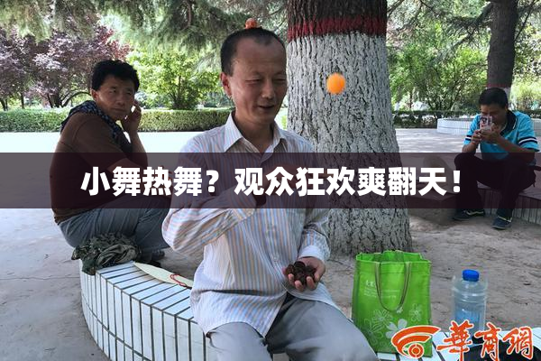 小舞热舞？观众狂欢爽翻天！
