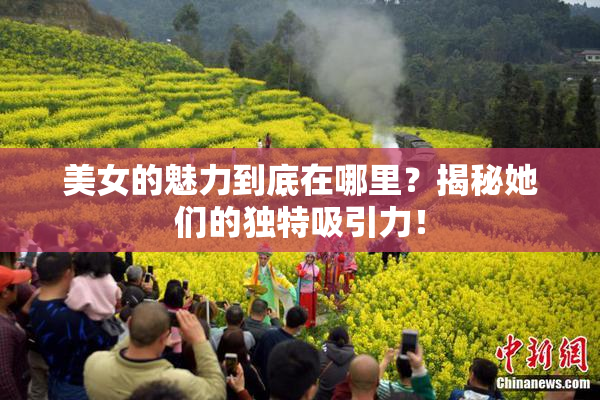 美女的魅力到底在哪里？揭秘她们的独特吸引力！