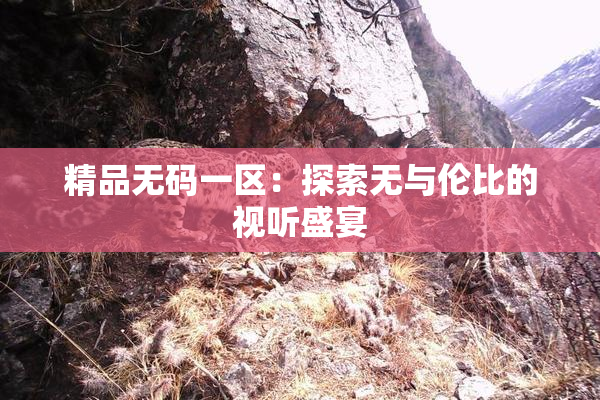 精品无码一区：探索无与伦比的视听盛宴