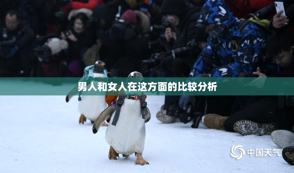 男人和女人在这方面的比较分析