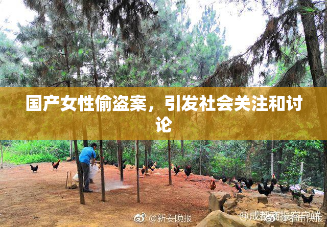 国产女性偷盗案，引发社会关注和讨论