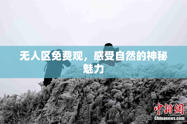 无人区免费观，感受自然的神秘魅力