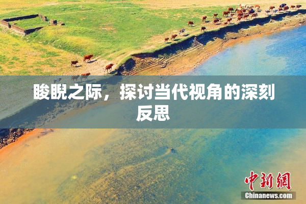 睃睨之际，探讨当代视角的深刻反思