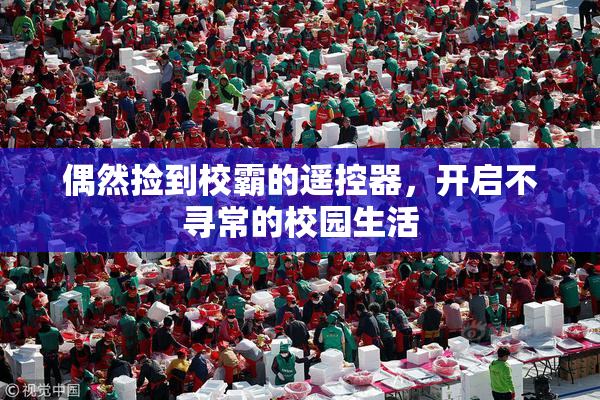 偶然捡到校霸的遥控器，开启不寻常的校园生活