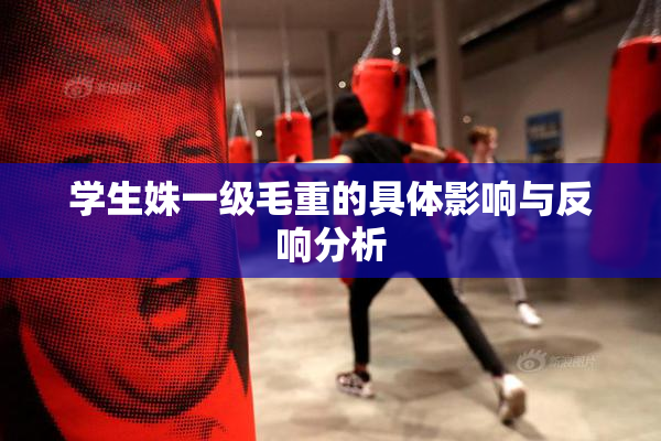 学生姝一级毛重的具体影响与反响分析