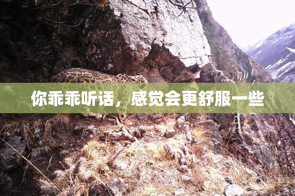 你乖乖听话，感觉会更舒服一些