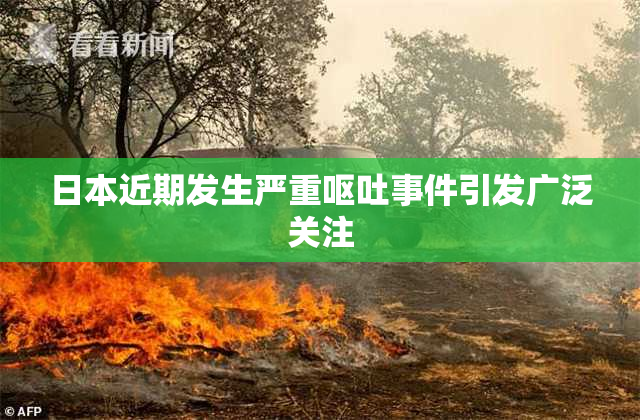 日本近期发生严重呕吐事件引发广泛关注