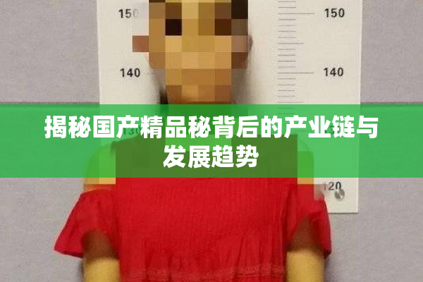 揭秘国产精品秘背后的产业链与发展趋势