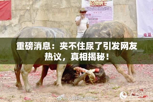 重磅消息：夹不住尿了引发网友热议，真相揭秘！