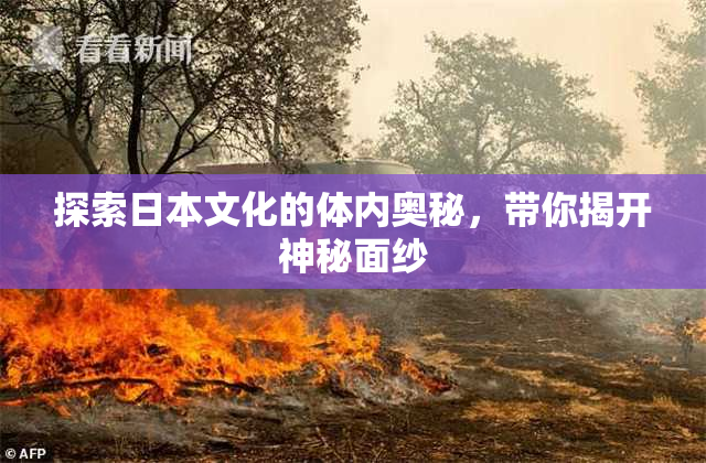 探索日本文化的体内奥秘，带你揭开神秘面纱