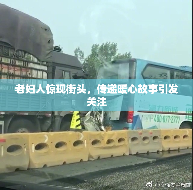 老妇人惊现街头，传递暖心故事引发关注
