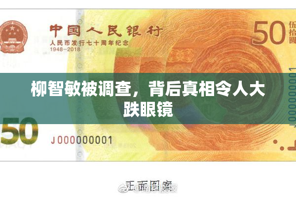 柳智敏被调查，背后真相令人大跌眼镜