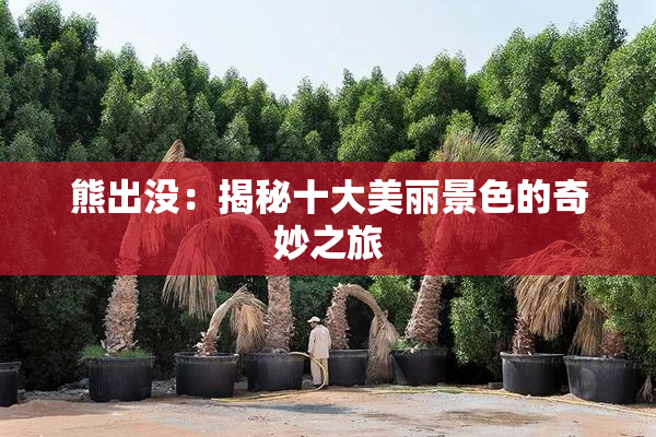熊出没：揭秘十大美丽景色的奇妙之旅